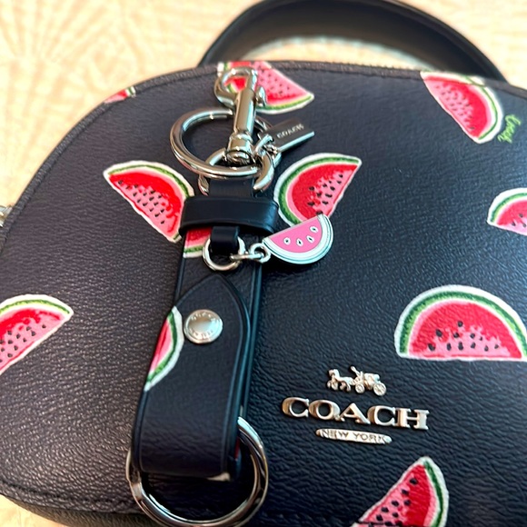 4pc Coach Watermelon Set 🍉 Crossbody Bag, Flops, Cosmetic Bag & Keyfob Rare - Picture 10 of 17
